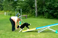 Thrill - Teeter at 8 Months Old 